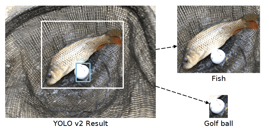 Sample Images