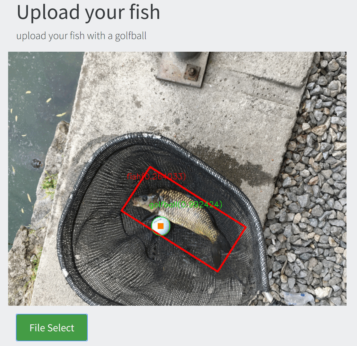Sample Images