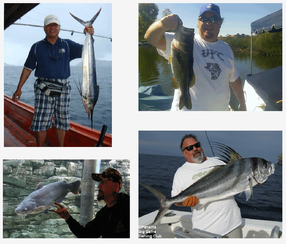 Sample Images