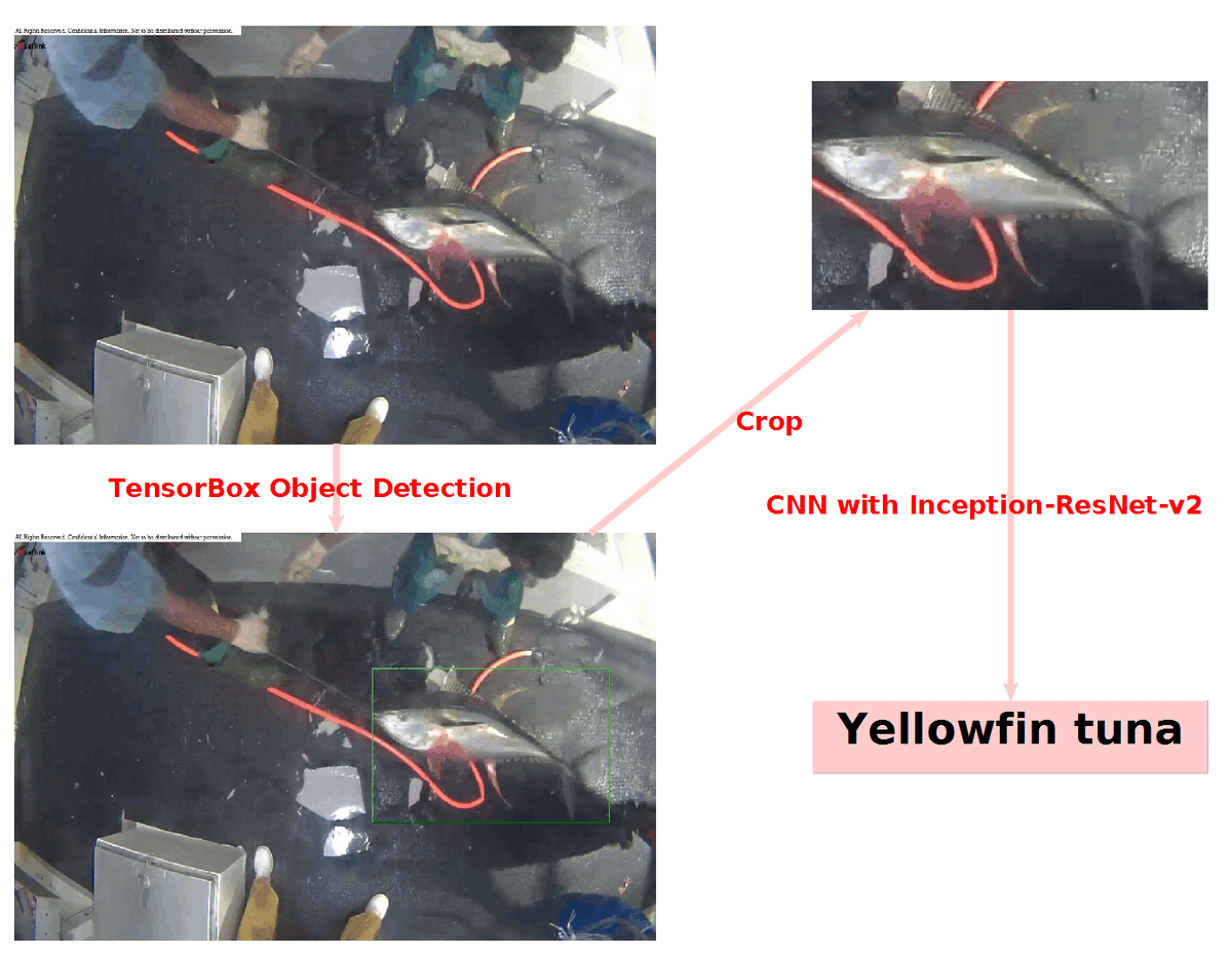Sample Images