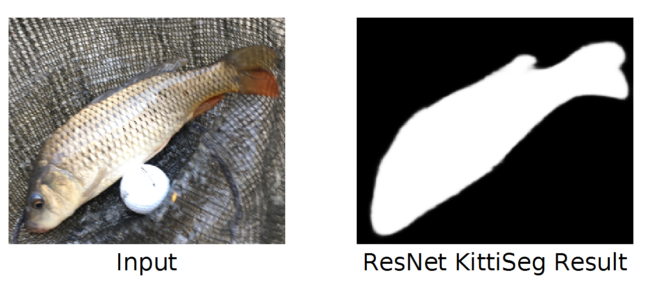 Sample Images
