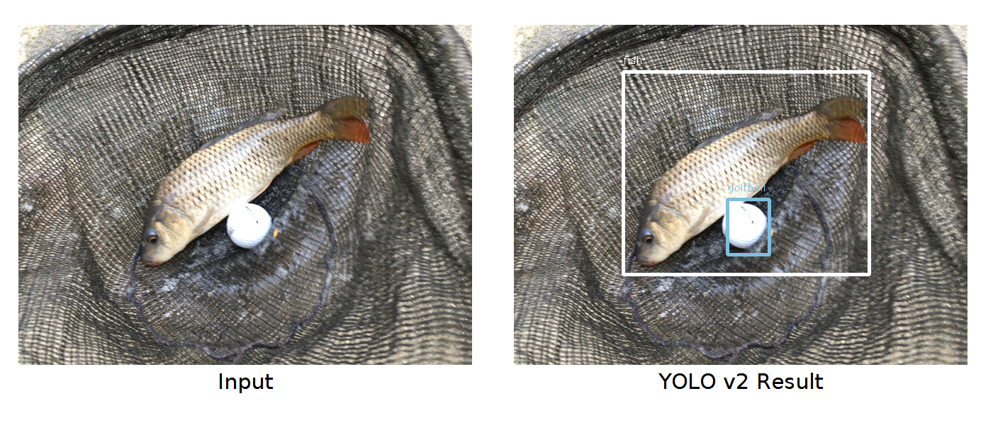 Sample Images